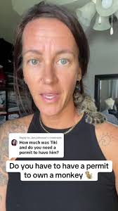 Buying A Pet Monkey in Florida