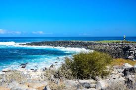 The galapagos marine reserv e is home to a wide array of species, many of them endangered. Which Are The Best Islands To Visit In Galapagos Here Are Our Top 3