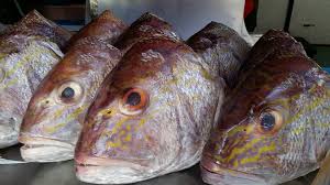 Ikan kerisi goreng berlado simple. Kepala Ikan Ibu Kerisi Biji Raja Kepala Ikan Segar Facebook