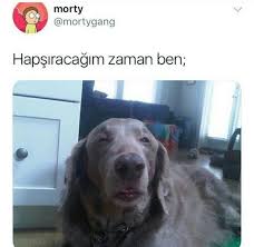 Boguren Baraka Adli Kullanicinin Komik Panosundaki Pin Komik Komik Seyler Komik Fotograflar