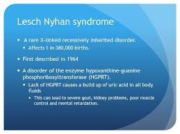 Lesch Nyhan Syndrome And Self Injurious Behavior Ppt Video Online Download