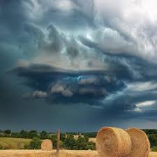 Keith Ridenour (@Keith_Ridenour)