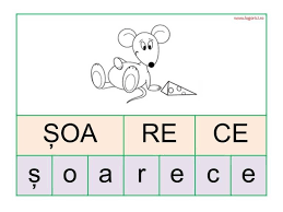 De ce să foloseşti brainly? Cuvinte Silabe Litere Logorici Smart Kids Montessori Toddler Projects For Kids