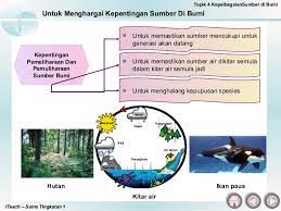 Kepelbagaian sumber di bumi (kepentingan sumber bumi kpd manusia… coggle Bab 4 Kepelbagaian Sumber Di Bumi