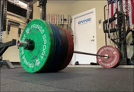 There is a very faint rubber odor when you first open them fringe sport offers several options within its bumper plate family to help you hit almost any budget. A Look At The Fringe Sport Savage Bumper Plates