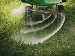 Fortunately, our location in northeastern ohio usually provides ideal growing conditions—especially adequate rainfall during the summer months. Best Grass Fertilizing Tips Hgtv