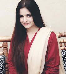 Beenish Chohan Biography, Age, Husband, Family, Dramas