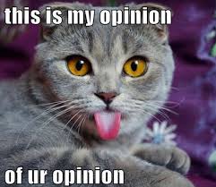 Image result for whatever    funny images