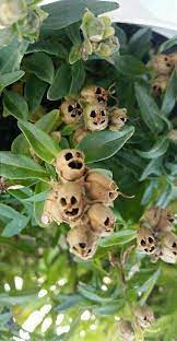 Pin On Nature طبيعة