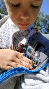 Not the best photos but I wanted to share anyway. Spider was safely  returned to his spot.