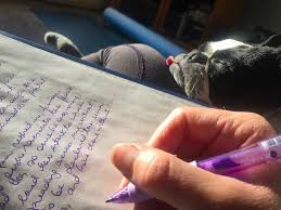 Practice u and when you have mastered it you will have all you need to move on to i j m n r v w y. Cursive Capital Letters From A To Z Science Trends