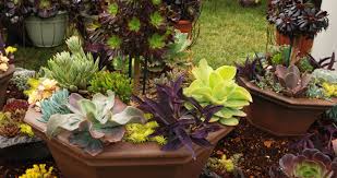 Maybe you would like to learn more about one of these? Bloomiq