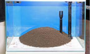 Just sprinkle them on the topsoil around the stem base. Choosing Your Substrate Combining Several Varieties