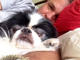 Rescue dog story and loss of sister