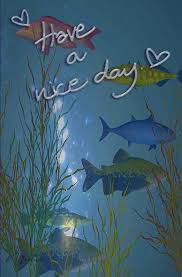 Https Encrypted Tbn0 Gstatic Com Images Q Tbn 3aand9gcqe C4ugzcoeekzmat5pkfb 31 L03wiwecw Usqp Cau