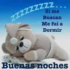 Volví a mi casa y me acosté. Pin By Elvi On Sueno Good Night Quotes Good Night Teddy