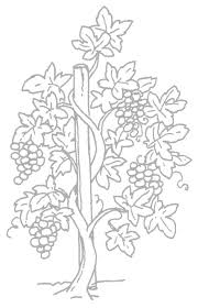 Entre colorier et dessiner, il n'y a pas à choisir sur gulli. Http Www Theoservices66 Fr Wp Content Uploads 2015 02 1 Dossier Pdf