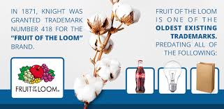 We did not find results for: The History Of Fruit Of The Loom Apparel The Adair Group