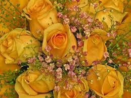 I migliori fiori per augurare un buon compleanno 5 minuti di lettura. Mazzo Auguri Di Compleanno Rose Foto Gratis Su Pixabay