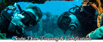 I'm sure you probably already know that, but you should be comfortable in the water. Scuba Dive Training Hawaiian Diving Honolulu Oahu