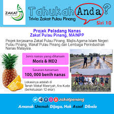 Pelbagai kerja kosong swasta, part time, freelance, full time & internship terkini. Zakat Pulau Pinang Twitterren Trivia Siri 10 Projek Peladang Nanas Zakat Pulau Pinang Mainpp Projek Ini Adalah Kerjasama Di Antara Zakat Pulau Pinang Majlis Agama Islam Negeri Pulau