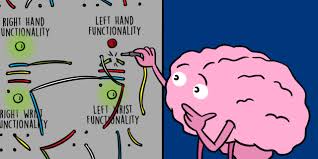 Signs and symptoms of stroke include: Big Surprise The Brain Can Recover Many Years After A Stroke Frontiers For Young Minds