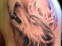 We did not find results for: 26 Fierce Wolf Tattoo For 2013