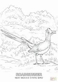 Texas State Bird Coloring Page Awesome New Mexico State Coloring Pages Justpage