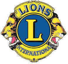 Scholarships For Adopted Children Weird Scholarships Lions Clubs International Lions International Lions