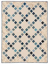 Patches Of Blue 17 Quilt Patterns And A Gallery Of Inspiring Antique Quilts Edyta Sitar 9781604689105 Amazon Com Book Quilts Quilt Patterns Antique Quilts