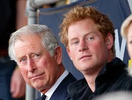 Prince Harry's 6 Tensions With Prince Charles: 'Genetic Pain,' Queen Camilla,  More