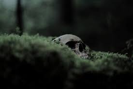 We did not find results for: Slytherin House Aesthetics Slytherin Aesthetics Darkness