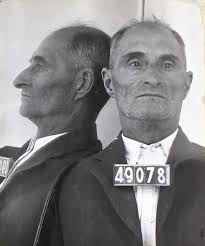 Weekender Digest: Award, wellness, and two tales