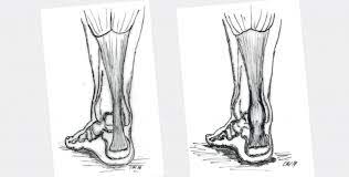 Praxis Leonardo Arzte Fur Orthopadie Und Traumatologie