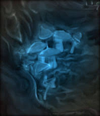 We did not find results for: Glowcap Mushrooms 3 5e Equipment D D Wiki