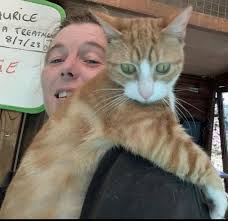 Dangling cats with Amy and Panda Xipuku and Rhulani, Jul 12 sunrise drive