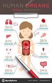 Infographic Female Human Organ Set Doctor Writing Paper