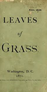 When I Have Fears That I May Cease To Be By John Keats Pre1923 Leaves Of Grass Scary Books Walt Whitman