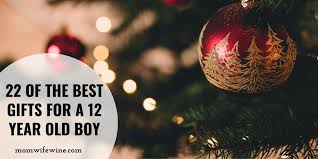 The only things a teenage survey taker needs are an internet connection and time, which makes it the perfect job for anyone! Gift Ideas For A 12 Year Old Boy Mom Wife Wine