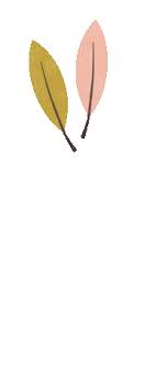 Screensaver factory is the most popular and widely used screensaver software. Falling Leaves Fall Sticker For Ios Android Giphy