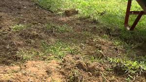 If the root is embedded deeply into the ground, you may need to dig up more soil around the root. How To Clear A Garden By Hand Youtube