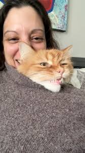 Look at that smile 😸 #gingercat #catsoffacebook #orangecat