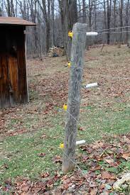Apply the mixture to the deer's favorite plants for added protection. Deer Proof Gardens 4 Sure Fire Ways To Keep Deer Out Of Your Garden