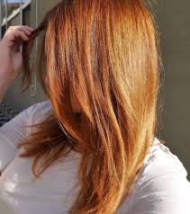 Strawberry Blonde Hair My Epic Journey Part 3 The Copper Chronicles Girlgetglamorous Strawberry Blonde Hair Light Copper Hair Dark Strawberry Blonde Hair