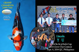 Results from the 2014 Kois & Ponds Grow Out Contest