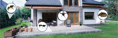 763 west avalon street ste. M8pigjk8yqybqm