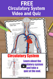 So far we have an animals crossword puzzle and a vehicles crossword puzzle for you and your children. Promoting Success 10 Circulatory System Activities And Projects For Kids