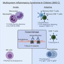 Image result for Multisystem Inflammatory Syndrome