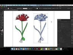 Convert Jpg Or Png Image To Vector In Adobe Illustrator With Image Trace In 2021 Illustration Vector Images Adobe Illustrator