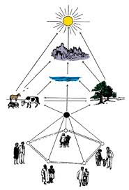 Mary Hayes Montessoris View Of Cosmic Education